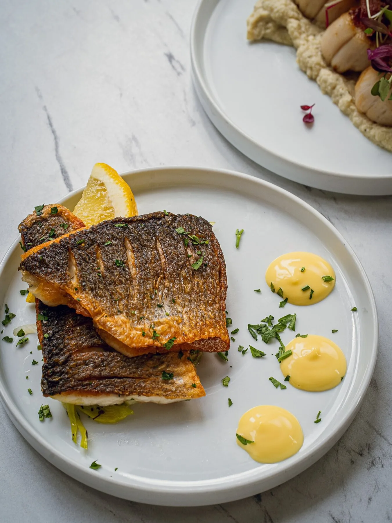 Crisp-skinned sea bass with lemon emulsion